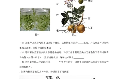 7.1.1植物的生殖-2020-2021学年八年级下册生物10分钟达标练习（人教版）（原卷版）_1、初中学习资料_4-6、生物_4-6-4、初二生物下册_1、同步练习（67份）_达标练习（人教版）（14份）