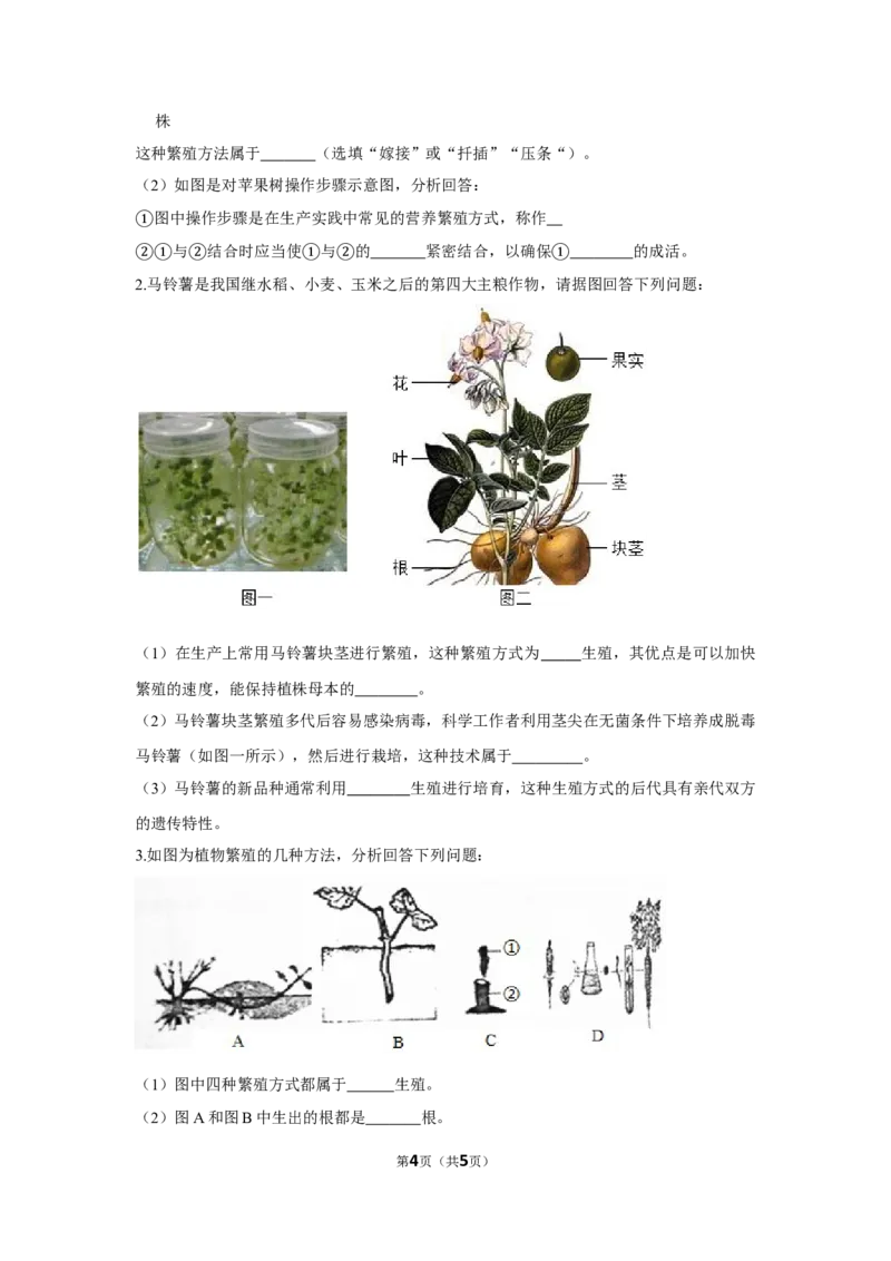 7.1.1植物的生殖-2020-2021学年八年级下册生物10分钟达标练习（人教版）（原卷版）_1、初中学习资料_4-6、生物_4-6-4、初二生物下册_1、同步练习（67份）_达标练习（人教版）（14份）