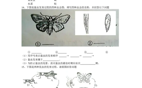 7.1.2昆虫的生殖和发育同步练习1含答案_1、初中学习资料_4-6、生物_4-6-4、初二生物下册_1、同步练习（67份）_赠送同步练习53份_7.1生物的生殖和发育_第2节昆虫的生殖和发育