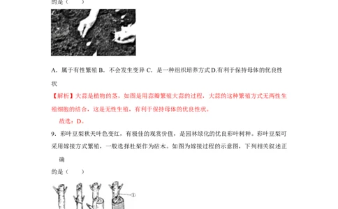 7.1.1植物的生殖-2020-2021学年八年级下册生物10分钟达标练习（人教版）（解析版）_1、初中学习资料_4-6、生物_4-6-4、初二生物下册_1、同步练习（67份）_达标练习（人教版）（14份）
