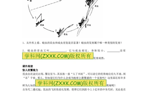 7.1.2昆虫的生殖和发育同步练习2含答案_1、初中学习资料_4-6、生物_4-6-4、初二生物下册_1、同步练习（67份）_赠送同步练习53份_7.1生物的生殖和发育_第2节昆虫的生殖和发育