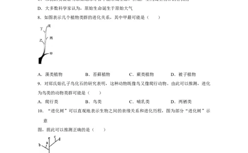 7.3.2生物进化的历程-2020-2021学年八年级下册生物10分钟达标练习（人教版）（原卷版）_1、初中学习资料_4-6、生物_4-6-4、初二生物下册_1、同步练习（67份）_达标练习（人教版）（14份）