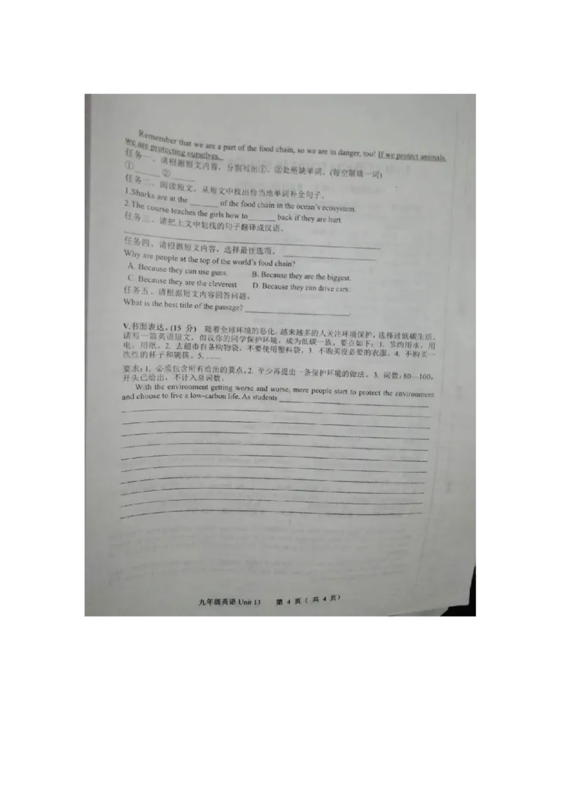 Unit13综合水平测试_1、初中学习资料_4-3、英语_4-3-5、初三英语全册_2024更新_单元测试卷_单元检测