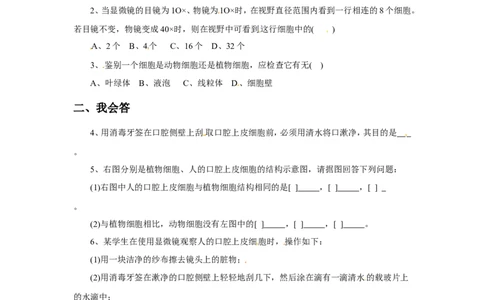 《动物细胞》习题2含答案_1、初中学习资料_4-6、生物_4-6-1、初一生物上册_同步练习-138份_2、同步练习第2套115份_第2单元生物体的结构层次_2.1.3动物细胞