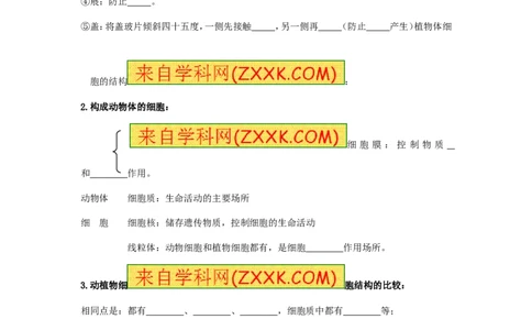 《动物细胞》习题5无答案_1、初中学习资料_4-6、生物_4-6-1、初一生物上册_同步练习-138份_2、同步练习第2套115份_第2单元生物体的结构层次_2.1.3动物细胞