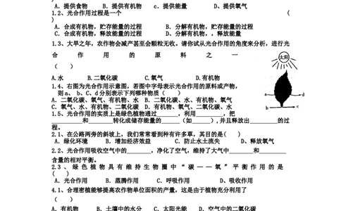《光合作用吸收二氧化碳释放氧气》习题5含答案_1、初中学习资料_4-6、生物_4-6-1、初一生物上册_同步练习-138份_2、同步练习第2套115份_第3单元生物圈中的绿色植物