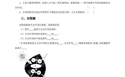 《光合作用吸收二氧化碳释放氧气》习题4含答案_1、初中学习资料_4-6、生物_4-6-1、初一生物上册_同步练习-138份_2、同步练习第2套115份_第3单元生物圈中的绿色植物