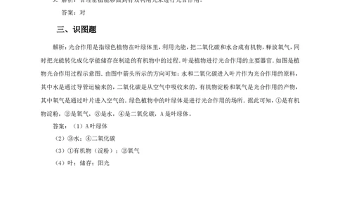 《光合作用吸收二氧化碳释放氧气》习题4含答案_1、初中学习资料_4-6、生物_4-6-1、初一生物上册_同步练习-138份_2、同步练习第2套115份_第3单元生物圈中的绿色植物