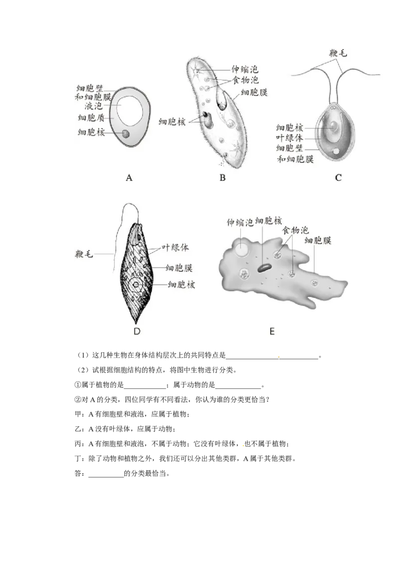 《单细胞生物》习题3含答案_1、初中学习资料_4-6、生物_4-6-1、初一生物上册_同步练习-138份_2、同步练习第2套115份_第2单元生物体的结构层次_2.2.4单细胞生物