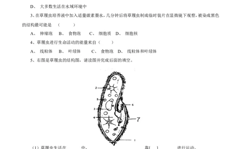 《单细胞生物》习题1含答案_1、初中学习资料_4-6、生物_4-6-1、初一生物上册_同步练习-138份_2、同步练习第2套115份_第2单元生物体的结构层次_2.2.4单细胞生物
