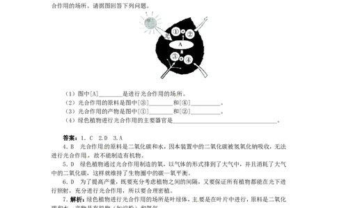 《光合作用吸收二氧化碳放出氧气》习题3含答案_1、初中学习资料_4-6、生物_4-6-1、初一生物上册_同步练习-138份_2、同步练习第2套115份_第3单元生物圈中的绿色植物