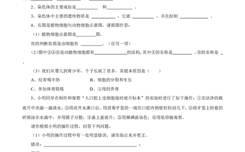 《动物细胞》习题1含答案_1、初中学习资料_4-6、生物_4-6-1、初一生物上册_同步练习-138份_2、同步练习第2套115份_第2单元生物体的结构层次_2.1.3动物细胞