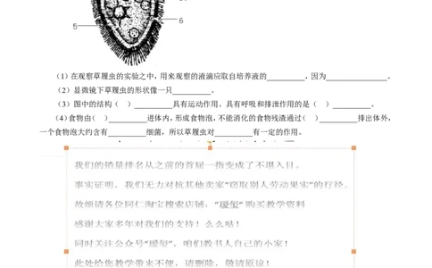 《单细胞生物》习题4含答案_1、初中学习资料_4-6、生物_4-6-1、初一生物上册_同步练习-138份_2、同步练习第2套115份_第2单元生物体的结构层次_2.2.4单细胞生物