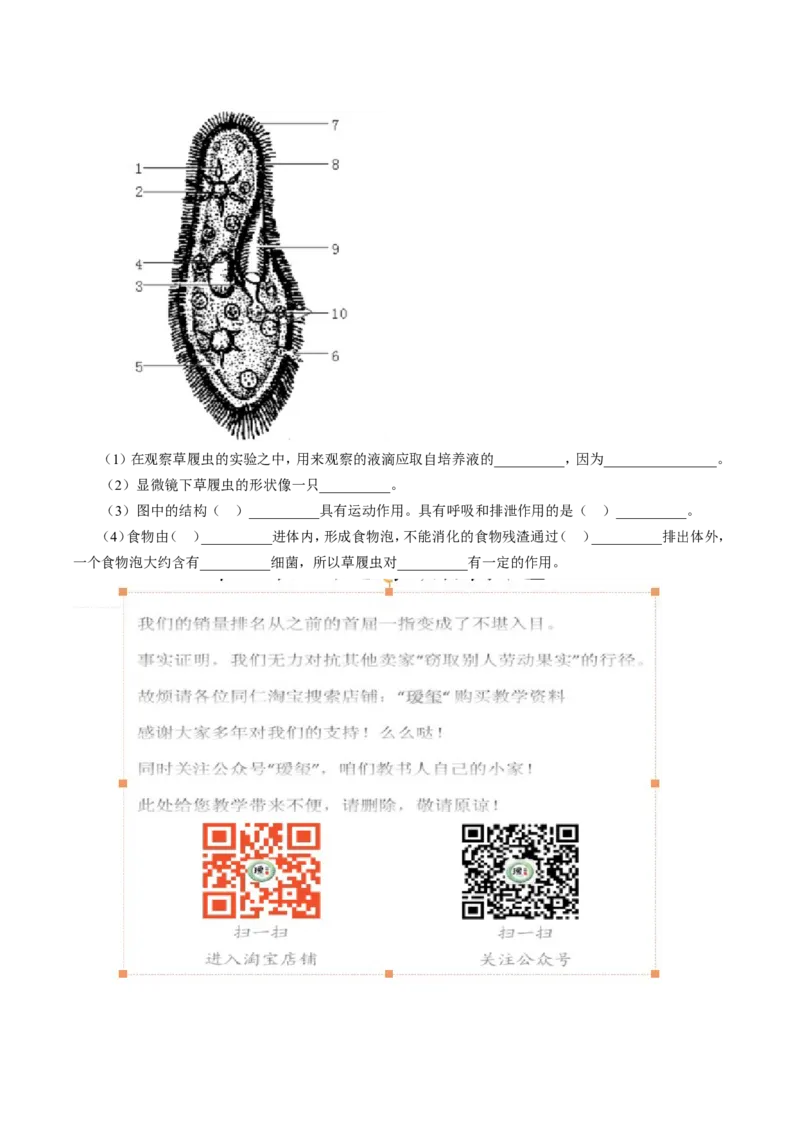《单细胞生物》习题4含答案_1、初中学习资料_4-6、生物_4-6-1、初一生物上册_同步练习-138份_2、同步练习第2套115份_第2单元生物体的结构层次_2.2.4单细胞生物
