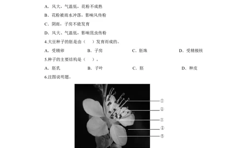 《开花和结果》习题4含答案_1、初中学习资料_4-6、生物_4-6-1、初一生物上册_同步练习-138份_2、同步练习第2套115份_第3单元生物圈中的绿色植物_3.2.3开花和结果