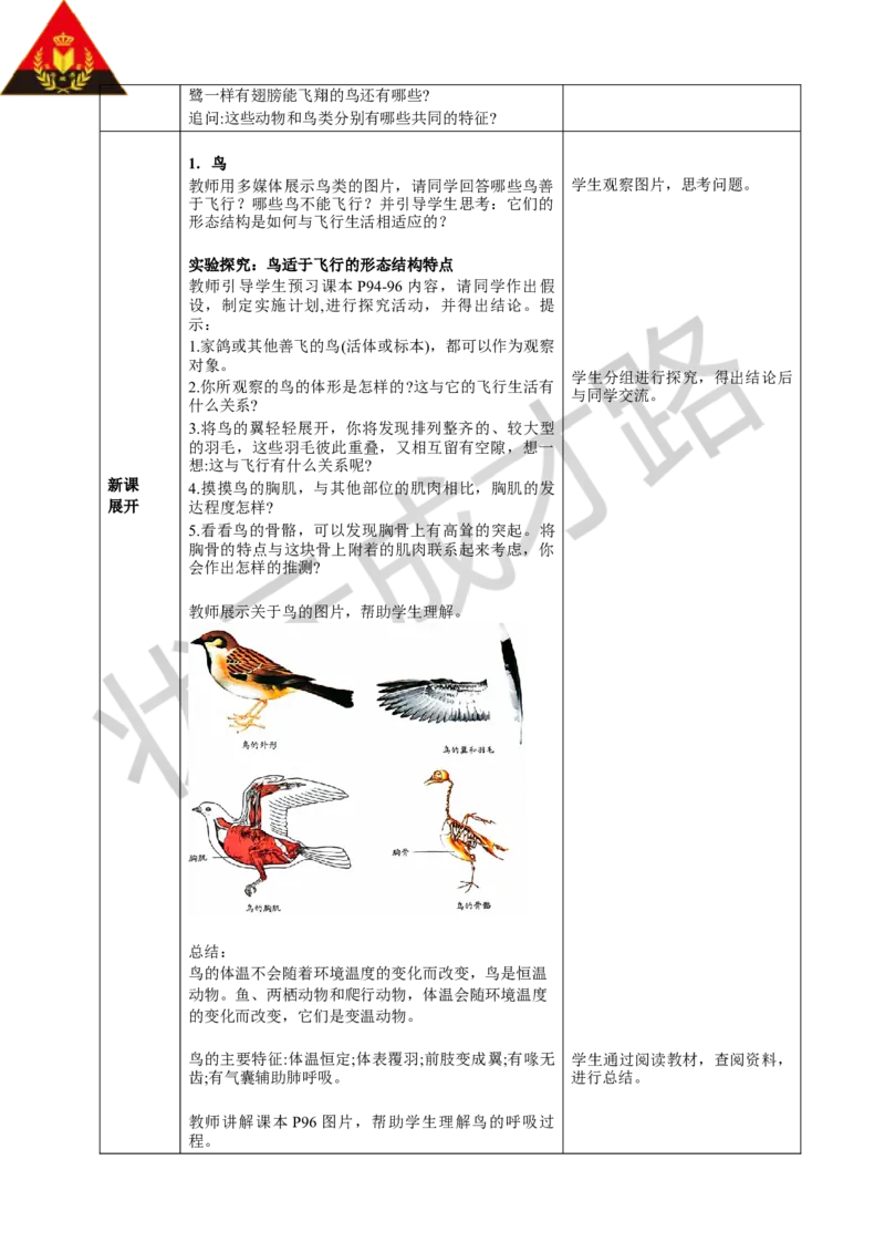 三鸟和哺乳动物_1、初中学习资料_2024秋改版_七上生物最新版课件_教案_第二单元多种多样的生物_第二章动物的类群_第二节脊椎动物