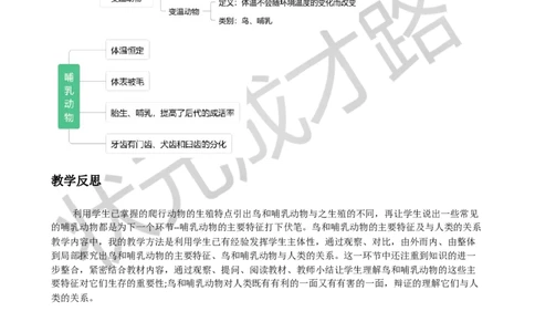 三鸟和哺乳动物_1、初中学习资料_2024秋改版_七上生物最新版课件_教案_第二单元多种多样的生物_第二章动物的类群_第二节脊椎动物