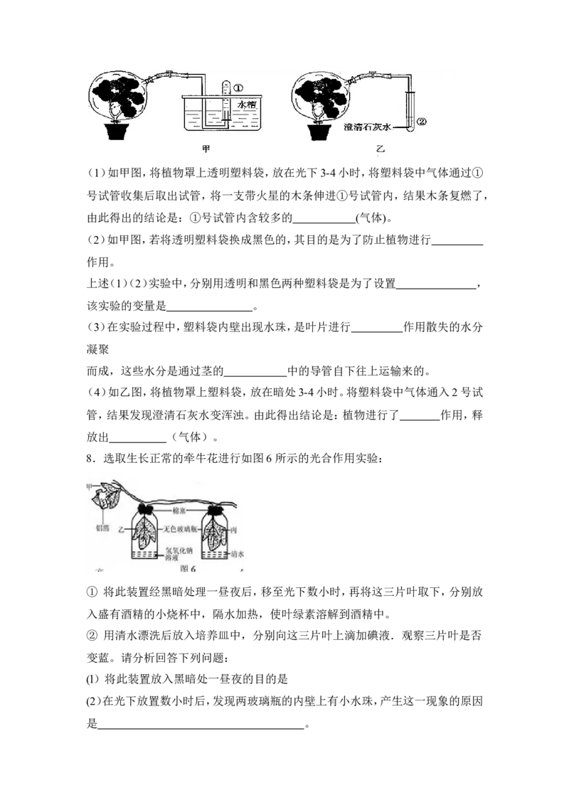 《绿色植物是生物圈中有机物的制造者》习题1含答案_1、初中学习资料_4-6、生物_4-6-1、初一生物上册_同步练习-138份_2、同步练习第2套115份_第3单元生物圈中的绿色植物