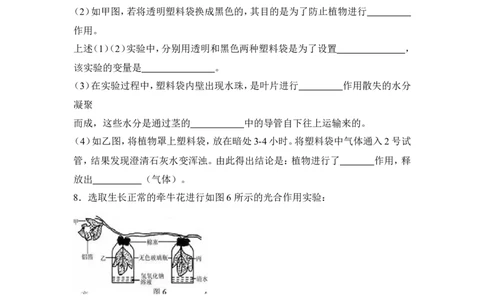 《绿色植物是生物圈中有机物的制造者》习题1含答案_1、初中学习资料_4-6、生物_4-6-1、初一生物上册_同步练习-138份_2、同步练习第2套115份_第3单元生物圈中的绿色植物