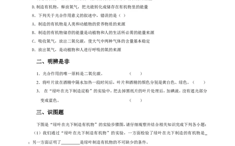 《绿色植物是生物圈中有机物的制造者》习题4含答案_1、初中学习资料_4-6、生物_4-6-1、初一生物上册_同步练习-138份_2、同步练习第2套115份_第3单元生物圈中的绿色植物