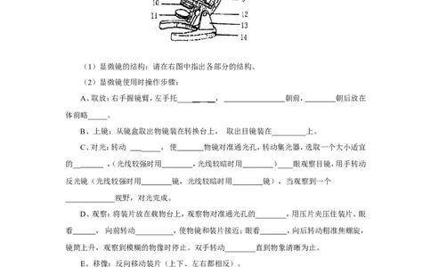 《练习使用显微镜》习题4含答案_1、初中学习资料_4-6、生物_4-6-1、初一生物上册_同步练习-138份_2、同步练习第2套115份_第2单元生物体的结构层次_2.1.1练习使用显微镜