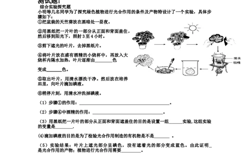 《绿色植物是生物圈中有机物的制造者》习题5含答案_1、初中学习资料_4-6、生物_4-6-1、初一生物上册_同步练习-138份_2、同步练习第2套115份_第3单元生物圈中的绿色植物
