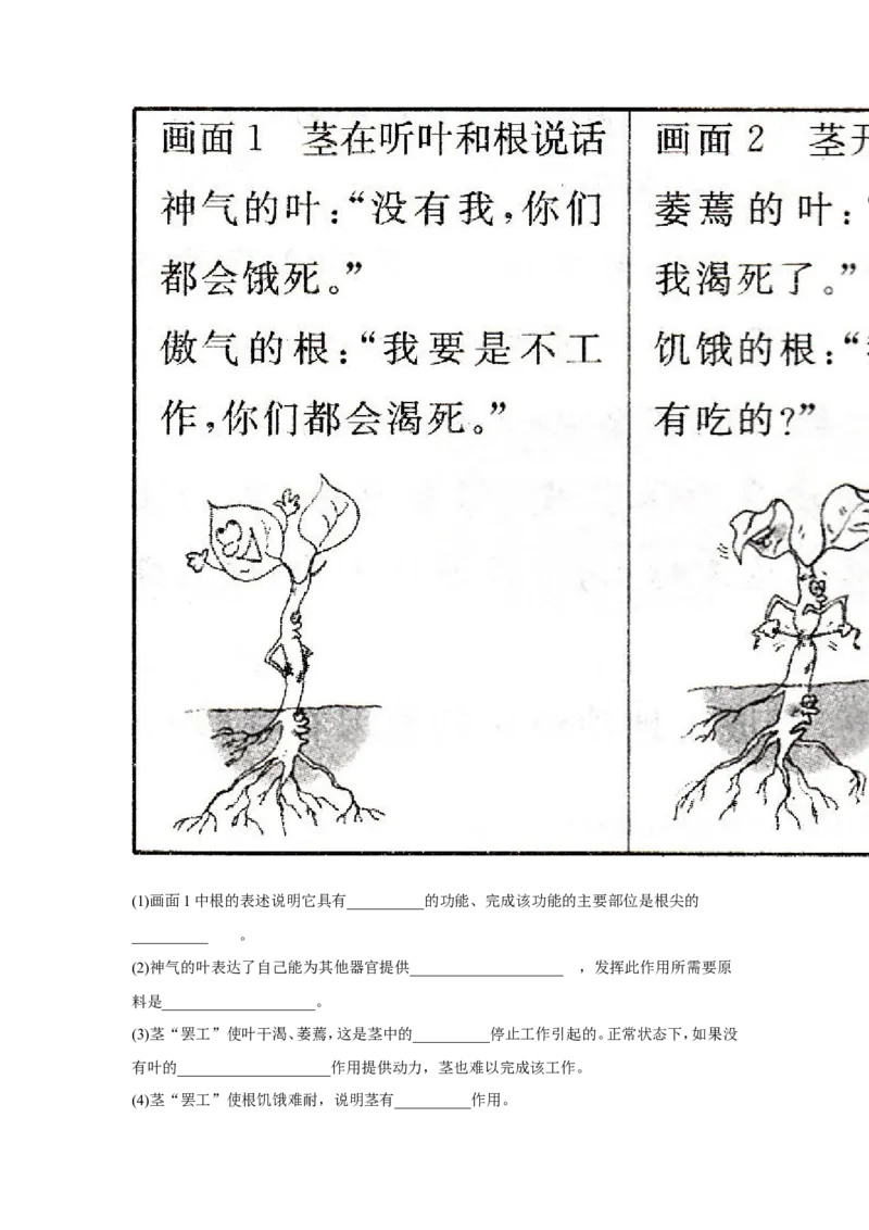 《爱护植被，绿化祖国》习题2无答案_1、初中学习资料_4-6、生物_4-6-1、初一生物上册_同步练习-138份_2、同步练习第2套115份_第3单元生物圈中的绿色植物_3.6爱护植被，绿化祖国