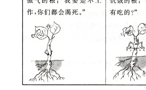 《爱护植被，绿化祖国》习题2无答案_1、初中学习资料_4-6、生物_4-6-1、初一生物上册_同步练习-138份_2、同步练习第2套115份_第3单元生物圈中的绿色植物_3.6爱护植被，绿化祖国