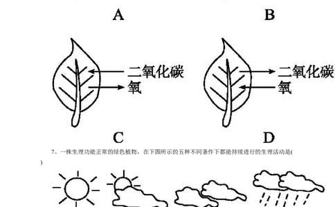 《绿色植物的呼吸作用》习题1含答案_1、初中学习资料_4-6、生物_4-6-1、初一生物上册_同步练习-138份_2、同步练习第2套115份_第3单元生物圈中的绿色植物_3.5.2绿色植物的呼吸作用