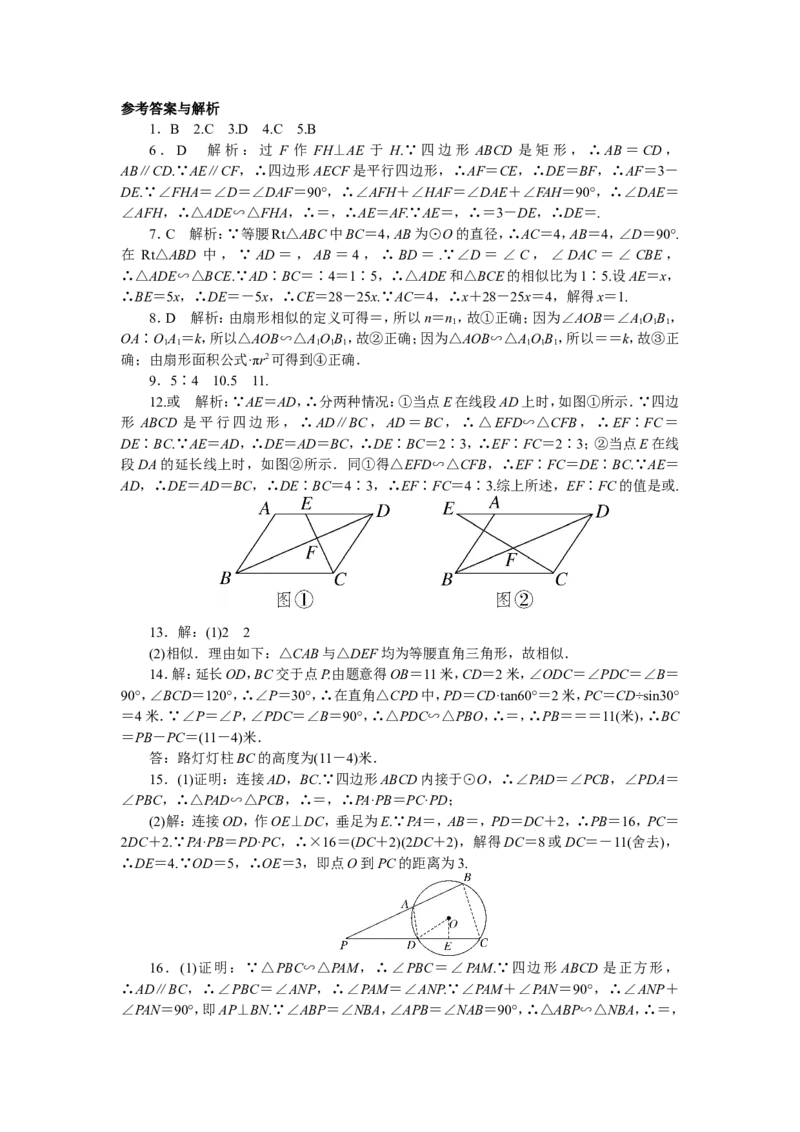 专项训练七　相似_1、初中学习资料_4-2、数学_4-2-6、初三数学下册_人教数学九年级下专项练习（010份）_期末专项）初中9年级下册10份