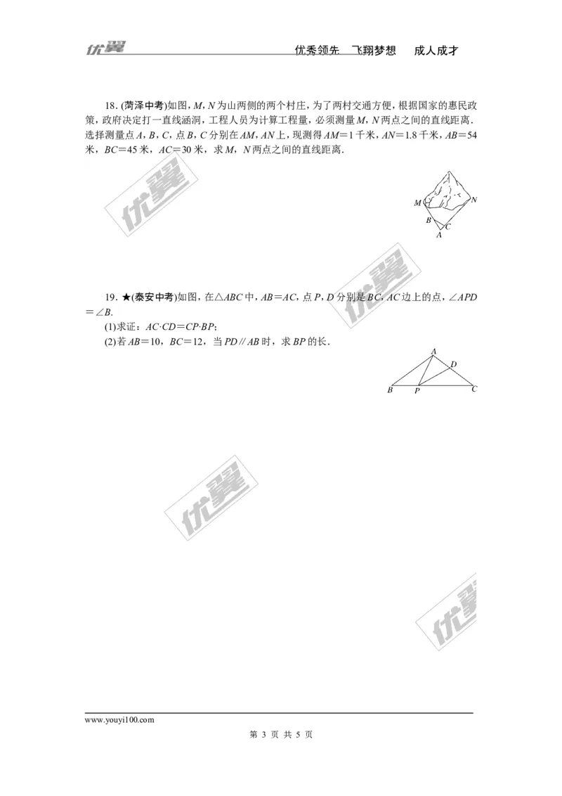 专项训练四　图形的相似_1、初中学习资料_4-2、数学_北师大版_北师大版初中数学9下_九年级全册复习专项训练