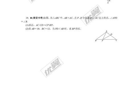 专项训练四　图形的相似_1、初中学习资料_4-2、数学_北师大版_北师大版初中数学9下_九年级全册复习专项训练