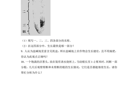 《植株的生长》习题3含答案_1、初中学习资料_4-6、生物_4-6-1、初一生物上册_同步练习-138份_2、同步练习第2套115份_第3单元生物圈中的绿色植物_3.2.2植株的生长