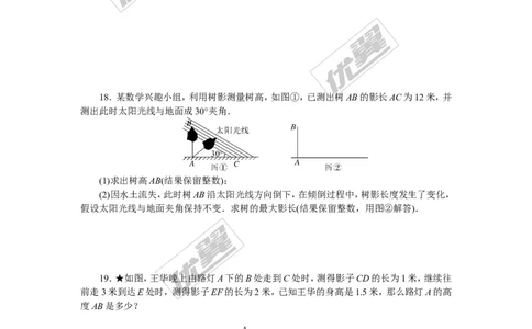 专项训练五　投影与视图_1、初中学习资料_4-2、数学_北师大版_北师大版初中数学9下_九年级全册复习专项训练