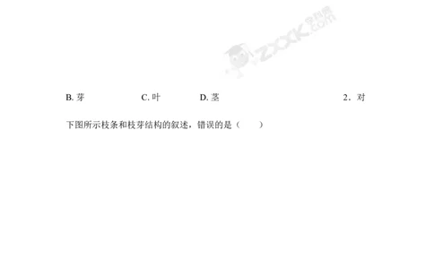 《植株的生长》习题2含答案_1、初中学习资料_4-6、生物_4-6-1、初一生物上册_同步练习-138份_2、同步练习第2套115份_第3单元生物圈中的绿色植物_3.2.2植株的生长