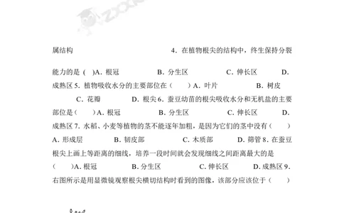 《植株的生长》习题2含答案_1、初中学习资料_4-6、生物_4-6-1、初一生物上册_同步练习-138份_2、同步练习第2套115份_第3单元生物圈中的绿色植物_3.2.2植株的生长