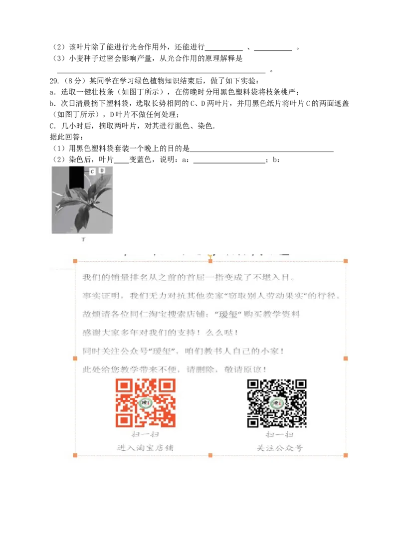 《绿色植物是生物圈中有机物的制造者》习题3含答案_1、初中学习资料_4-6、生物_4-6-1、初一生物上册_同步练习-138份_2、同步练习第2套115份_第3单元生物圈中的绿色植物