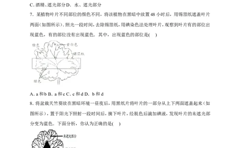 《绿色植物是生物圈中有机物的制造者》习题3含答案_1、初中学习资料_4-6、生物_4-6-1、初一生物上册_同步练习-138份_2、同步练习第2套115份_第3单元生物圈中的绿色植物