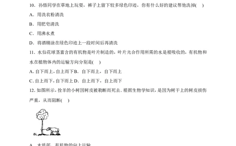《绿色植物是生物圈中有机物的制造者》习题3含答案_1、初中学习资料_4-6、生物_4-6-1、初一生物上册_同步练习-138份_2、同步练习第2套115份_第3单元生物圈中的绿色植物