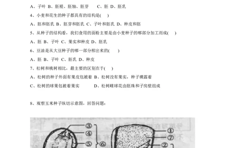《种子植物》习题4无答案_1、初中学习资料_4-6、生物_4-6-1、初一生物上册_同步练习-138份_2、同步练习第2套115份_第3单元生物圈中的绿色植物_3.1.2种子植物