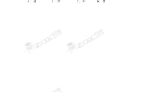 《植株的生长》习题1无答案_1、初中学习资料_4-6、生物_4-6-1、初一生物上册_同步练习-138份_2、同步练习第2套115份_第3单元生物圈中的绿色植物_3.2.2植株的生长