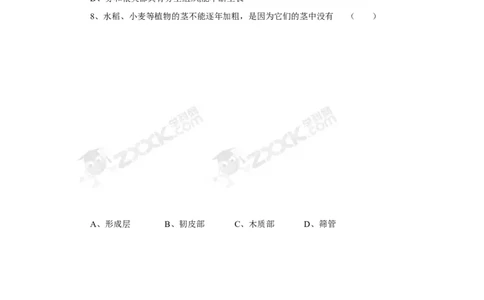 《植株的生长》习题1无答案_1、初中学习资料_4-6、生物_4-6-1、初一生物上册_同步练习-138份_2、同步练习第2套115份_第3单元生物圈中的绿色植物_3.2.2植株的生长