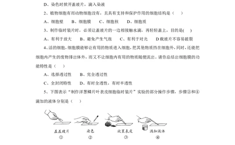 《植物细胞》习题1含答案_1、初中学习资料_4-6、生物_4-6-1、初一生物上册_同步练习-138份_2、同步练习第2套115份_第2单元生物体的结构层次_2.1.2植物细胞