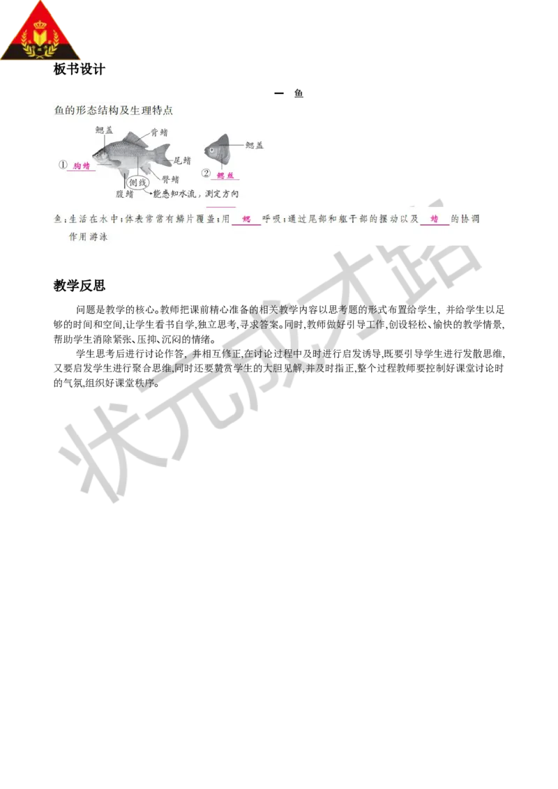 一鱼_1、初中学习资料_2024秋改版_七上生物最新版课件_教案_第二单元多种多样的生物_第二章动物的类群_第二节脊椎动物