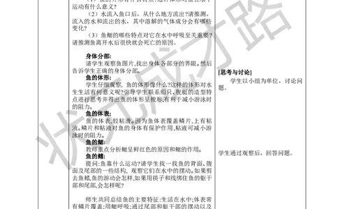 一鱼_1、初中学习资料_2024秋改版_七上生物最新版课件_教案_第二单元多种多样的生物_第二章动物的类群_第二节脊椎动物