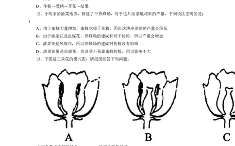 《开花和结果》习题3含答案_1、初中学习资料_4-6、生物_4-6-1、初一生物上册_同步练习-138份_2、同步练习第2套115份_第3单元生物圈中的绿色植物_3.2.3开花和结果
