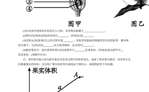 《开花和结果》习题3含答案_1、初中学习资料_4-6、生物_4-6-1、初一生物上册_同步练习-138份_2、同步练习第2套115份_第3单元生物圈中的绿色植物_3.2.3开花和结果