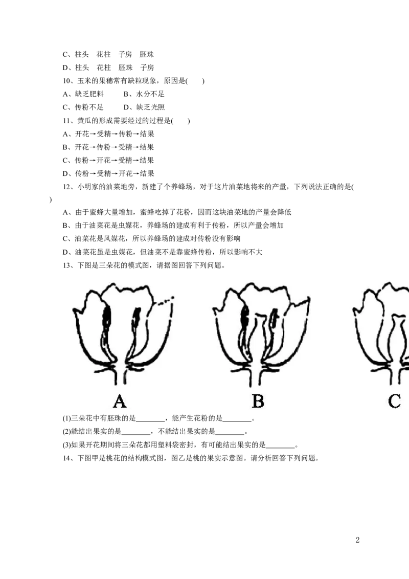 《开花和结果》习题3含答案_1、初中学习资料_4-6、生物_4-6-1、初一生物上册_同步练习-138份_2、同步练习第2套115份_第3单元生物圈中的绿色植物_3.2.3开花和结果