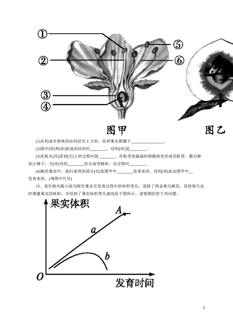 《开花和结果》习题3含答案_1、初中学习资料_4-6、生物_4-6-1、初一生物上册_同步练习-138份_2、同步练习第2套115份_第3单元生物圈中的绿色植物_3.2.3开花和结果