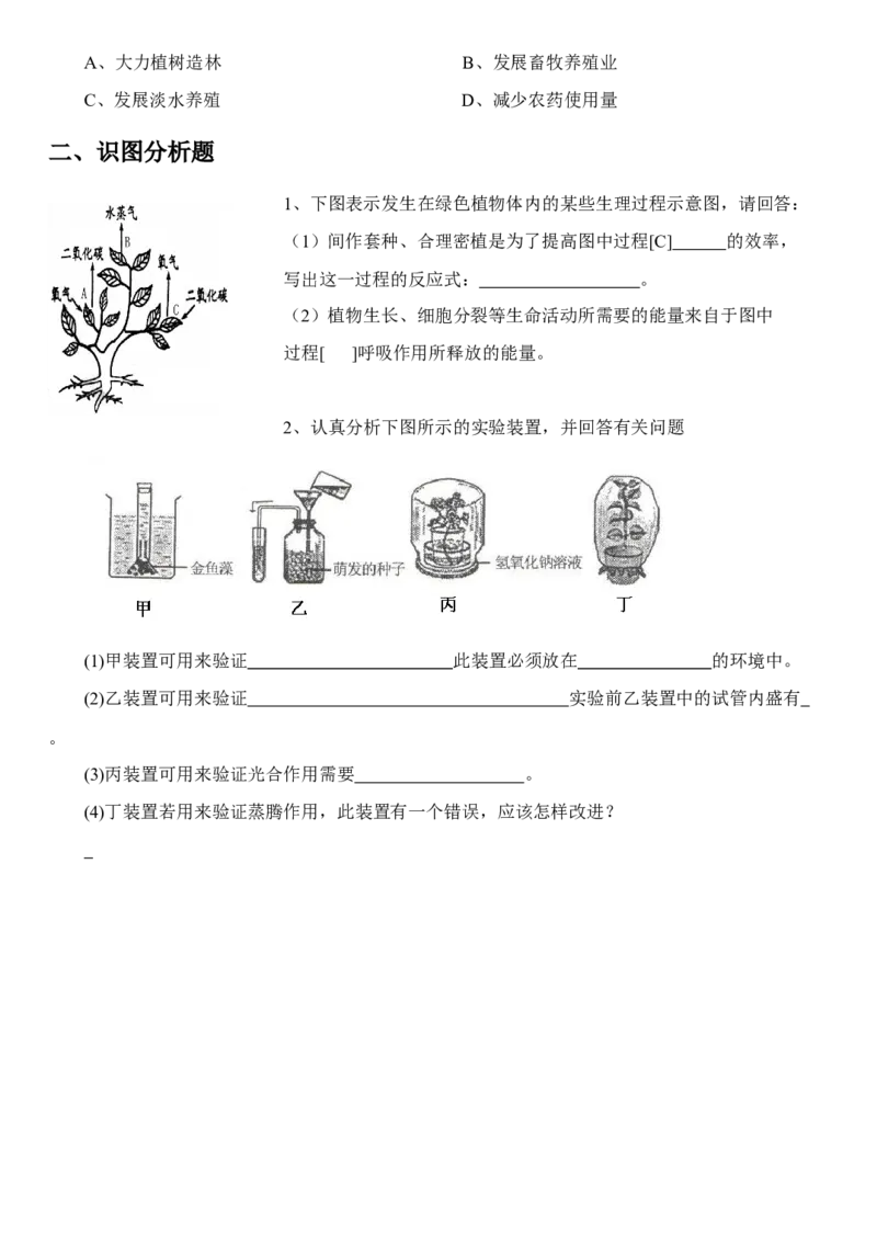 《绿色植物的呼吸作用》习题4无答案_1、初中学习资料_4-6、生物_4-6-1、初一生物上册_同步练习-138份_2、同步练习第2套115份_第3单元生物圈中的绿色植物_3.5.2绿色植物的呼吸作用